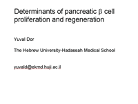 Determinants of pancreatic β cell