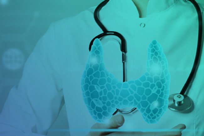 הקלטת מפגש ATA 2025