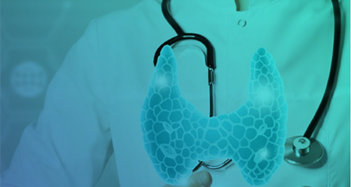 הקלטת מפגש ATA 2025