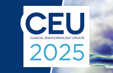 Clinical Endocrinology Update 2025 (online meeting)