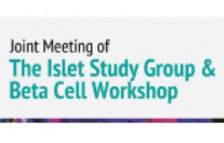 The Joint Meeting of  The Islet Study Group & Beta Cell Workshop