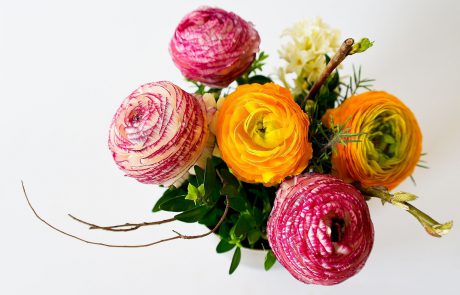 ועד האגודה הישראלית לאנדוקרינולוגיה שולח ברכות לפרופ’ אלון חן