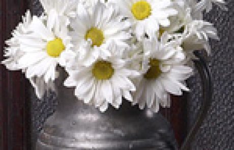 ברכות חמות לרגל היבחרה של ד”ר סימונה גלסברג, נציגת האגודה, לוועד החברה האירופאית לאנדוקרינולוגיה