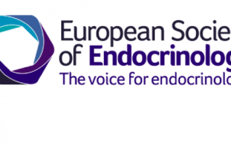 ESE Advocacy Representation Scheme (EARS) October 2025 Newsletter