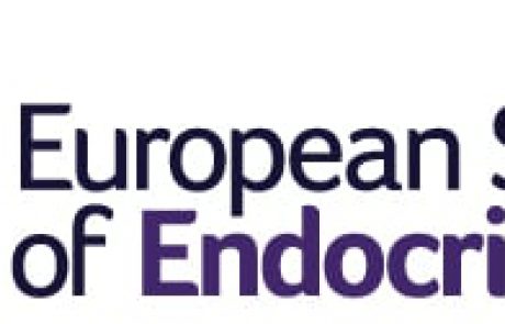 מכתב תמיכה מנשיא האגודה האירופאית לאנדוקרינולוגיה – Letter from ESE to Israel Endocrine Society